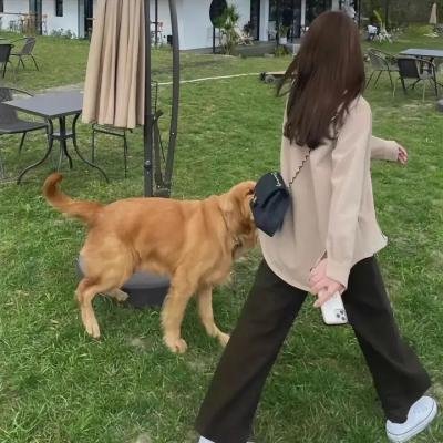 现代启示录之子